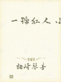 一号红人 小说