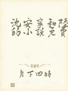 沈安宁和陆夜霖的小说免费阅读