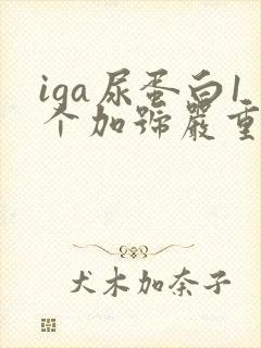 iga尿蛋白1个加号严重吗