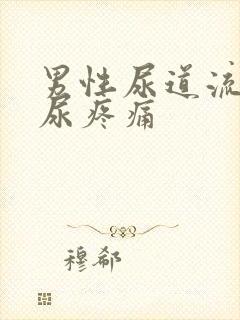 男性尿道流脓排尿疼痛