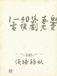 1—40集五魁电视剧免费观看