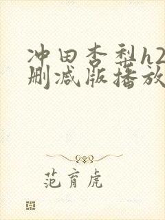冲田杏梨h2无删减版播放
