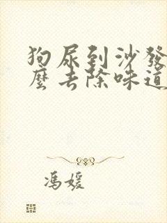 狗尿到沙发上怎么去除味道