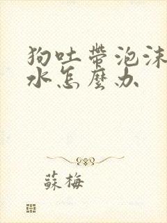 狗吐带泡沫的黄水怎么办