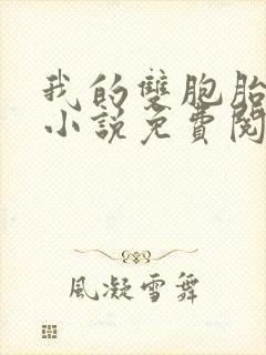 我的双胞胎老婆小说免费阅读全文