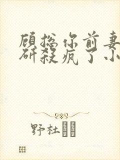 顾总你前妻在科研杀疯了小说总共多少章