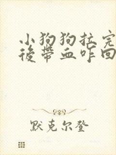 小狗狗拉完粑粑后带血咋回事