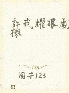 许我耀眼剧情梗概封面