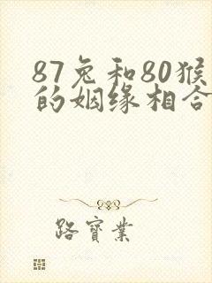 87兔和80猴的姻缘相合吗封面
