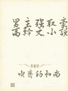 男主强取豪夺的高干文小说推荐