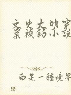 文史大明穿越成崇祯的小说