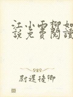 江小雨柳如烟小说免费阅读最新章节