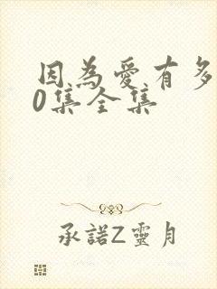 因为爱有多美80集全集