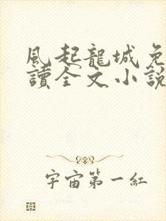 风起龙城免费阅读全文小说