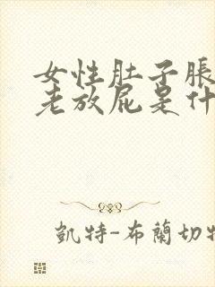 女性肚子胀气,老放屁是什么原因