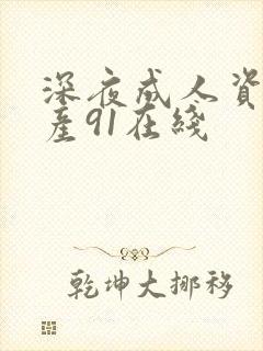 深夜成人资源国产91在线