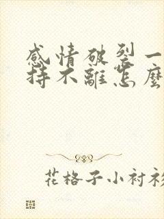 感情破裂一方坚持不离怎么办封面