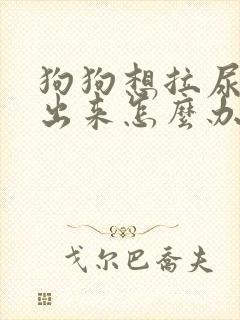 狗狗想拉尿拉不出来怎么办