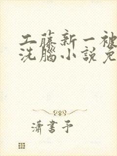 工藤新一被催眠洗脑小说免费阅读封面