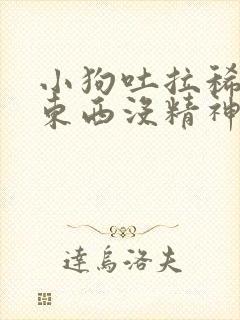 小狗吐拉稀不吃东西没精神怎么办