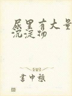 尿里有大量白色沉淀物