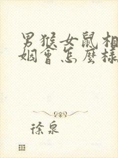 男猴女鼠相配婚姻会怎么样