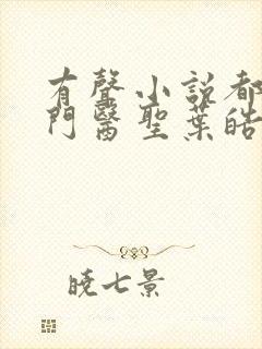 有声小说都市奇门医圣叶皓轩