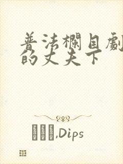 普法栏目剧消失的丈夫下