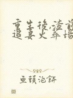 重生后,渣前夫追妻火葬场