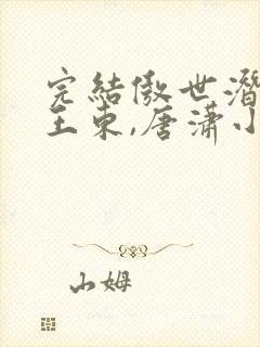 完结傲世潜龙 王东,唐潇小说