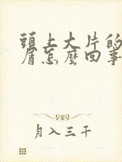 头上大片的头皮屑怎么回事封面