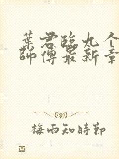 叶君临九个无敌师傅最新章节