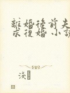 离婚后前夫哭着求复婚 小说阅读