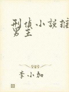 刑侦小说推荐双男主封面