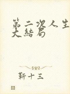 第二次人生最后大结局封面