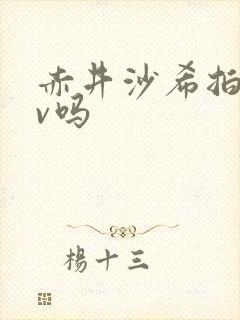 赤井沙希拍过av吗封面