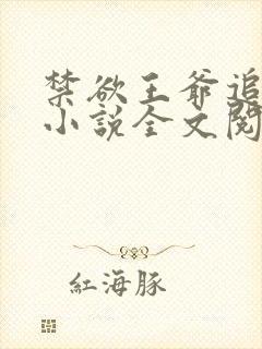 禁欲王爷追着宠小说全文阅读