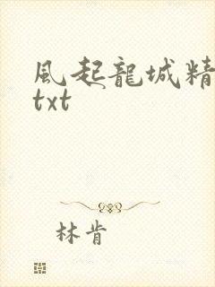 风起龙城精校版txt