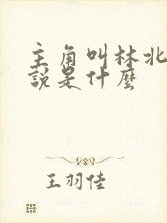 主角叫林北的小说是什么