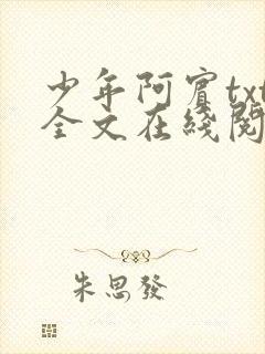 少年阿宾txt全文在线阅读