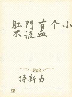 肛门有个小肉球不流血