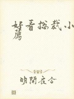 好看总裁小说推荐封面