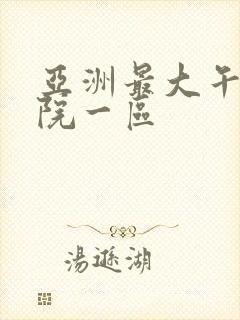 亚洲最大午夜影院一区