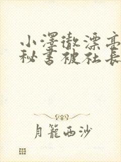 小泽彻漂亮人妻秘书被社长侵犯