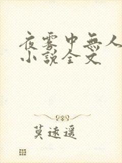 夜雾中无人爱我小说全文封面