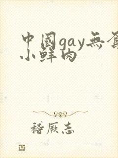 中国gay无套小鲜肉