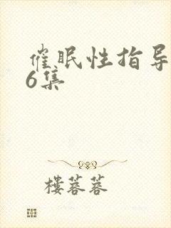 催眠性指导1∽6集
