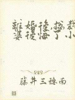 离婚后,总裁老婆后悔了小说完整