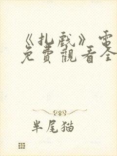 《扎戏》电视剧免费观看全集高清