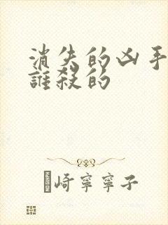 消失的凶手段是谁杀的